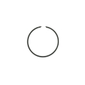 Piston Rings